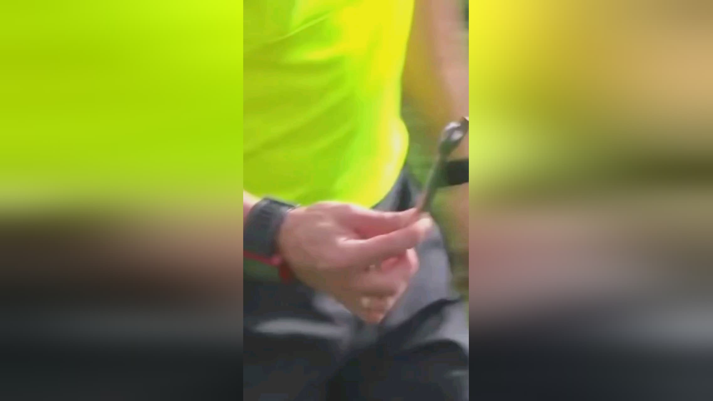 技能的